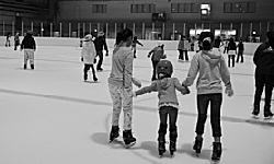 写真：アイスアリーナ