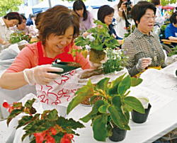 写真:園芸教室 写真:園芸教室