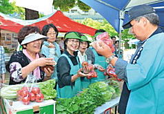 写真:地場野菜の即売会 写真:地場野菜の即売会