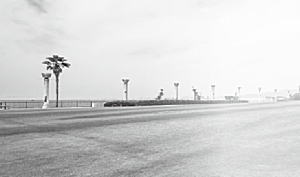 写真:鳴尾浜臨海公園 写真:鳴尾浜臨海公園
