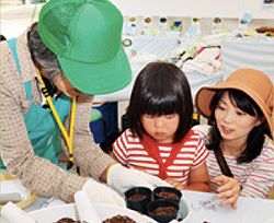写真:園芸・種まき教室 写真:園芸・種まき教室