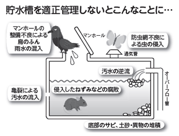 画像:貯水槽を適正管理しないとこんなことに… 画像:貯水槽を適正管理しないとこんなことに…