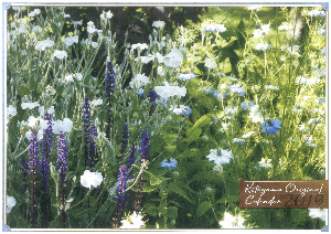 画像:北山緑化植物園オリジナルカレンダー 画像:北山緑化植物園オリジナルカレンダー