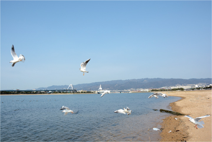 写真:甲子園浜 写真:甲子園浜