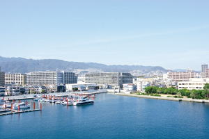 写真:西宮大橋からの風景 写真:西宮大橋からの風景