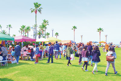 写真:芝フェス 写真:芝フェス
