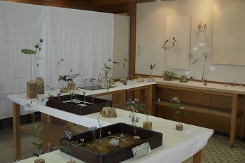 展示風景