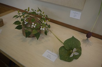 展示風景