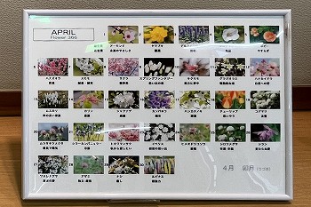 展示作品