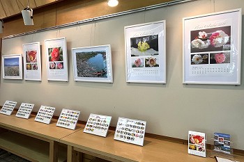 展示内容