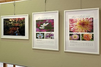 展示内容