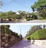 上甲東園